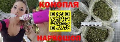 ALPHA PVP Заволжье