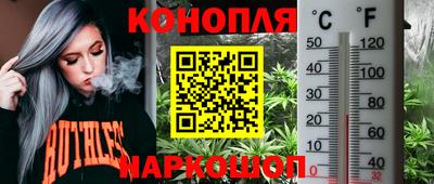 молекула духа Жуковский