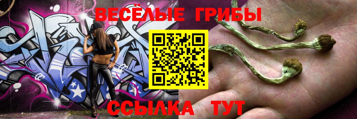 наркошоп  Галлюциногенные грибы прущие грибы  Вход с VPN  Псилоцибиновые грибы Magic Shrooms  Малоярославец 