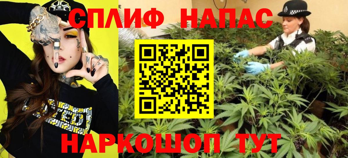 Шишки марихуана планчик  Марихуана планчик  Вход с VPN  Малоярославец 